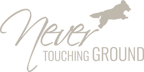 Logo Logo Nevertouchingground Lightbeige 2068 Logo Logo Nevertouchingground Lightbeige 2068