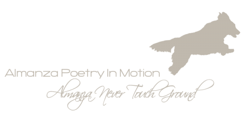 logo_poetry-and-never_lightbeige logo_poetry-and-never_lightbeige